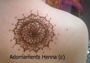 2014-05-11-sunflower